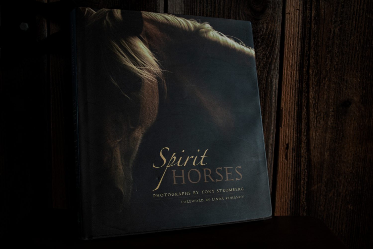 Off the Shelf – Tony Stromberg’s Spirit Horses